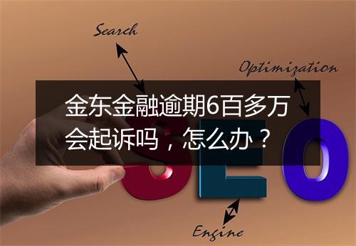 金东金融逾期6百多万会起诉吗，怎么办？