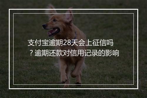 支付宝逾期28天会上征信吗？逾期还款对信用记录的影响