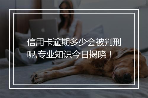 信用卡逾期多少会被判刑呢,专业知识今日揭晓！