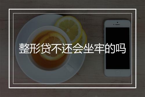 整形贷不还会坐牢的吗