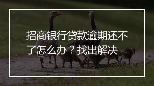 招商银行贷款逾期还不了怎么办？找出解决