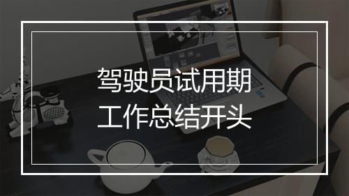 驾驶员试用期工作总结开头