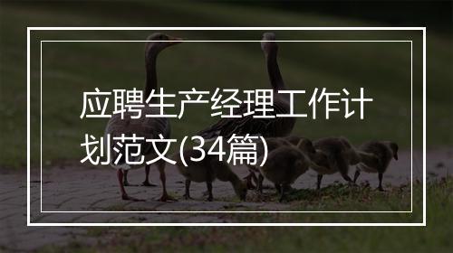 应聘生产经理工作计划范文(34篇)