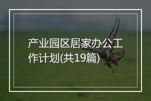 产业园区居家办公工作计划(共19篇)