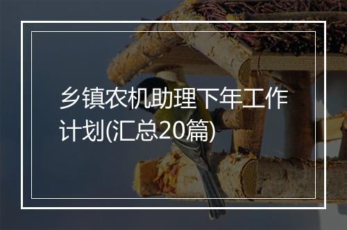乡镇农机助理下年工作计划(汇总20篇)
