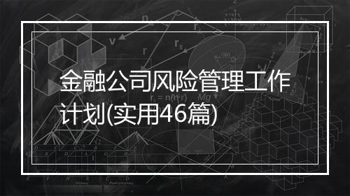 金融公司风险管理工作计划(实用46篇)