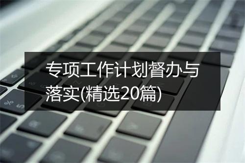 专项工作计划督办与落实(精选20篇)