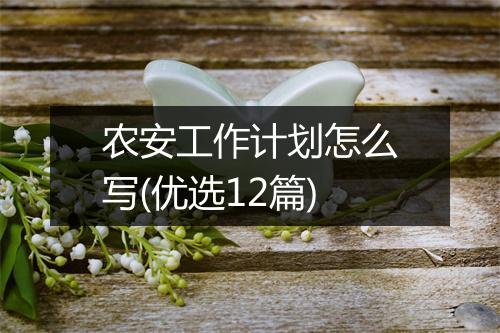农安工作计划怎么写(优选12篇)