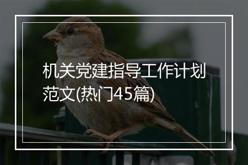 机关党建指导工作计划范文(热门45篇)
