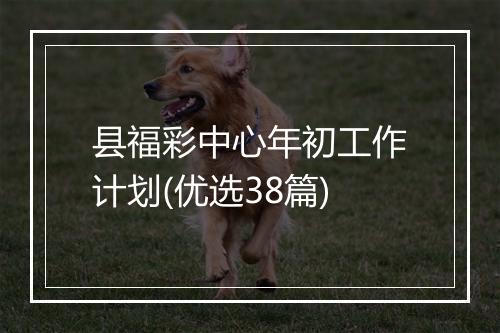县福彩中心年初工作计划(优选38篇)