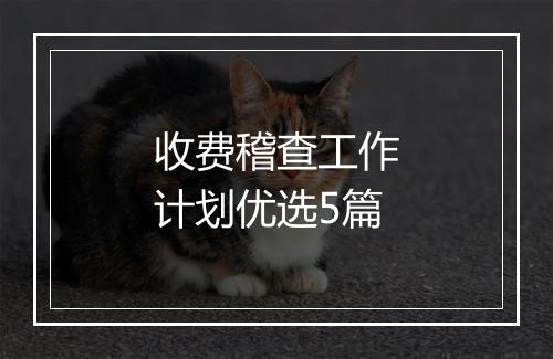 收费稽查工作计划优选5篇