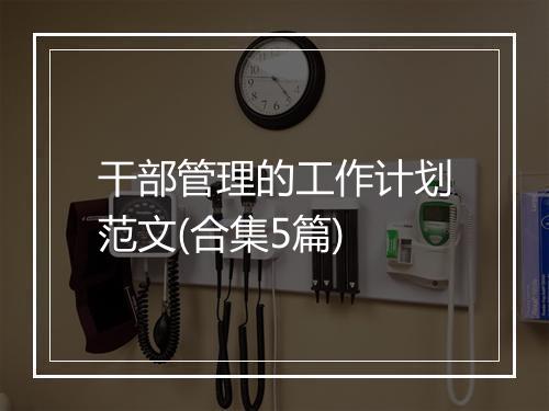 干部管理的工作计划范文(合集5篇)