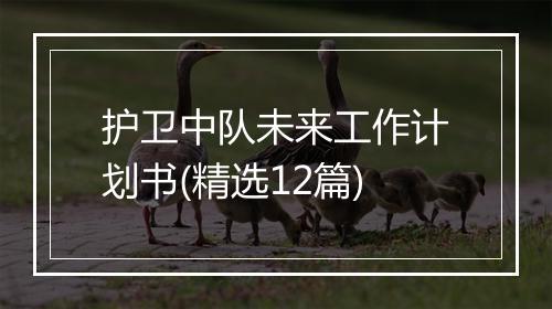 护卫中队未来工作计划书(精选12篇)