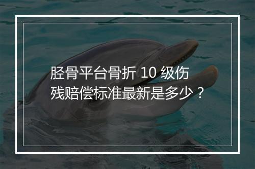 胫骨平台骨折 10 级伤残赔偿标准最新是多少？