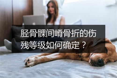 胫骨髁间嵴骨折的伤残等级如何确定？