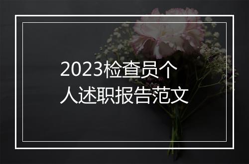 2023检查员个人述职报告范文