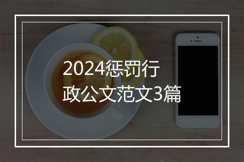 2024惩罚行政公文范文3篇