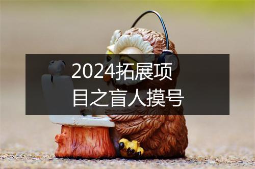 2024拓展项目之盲人摸号