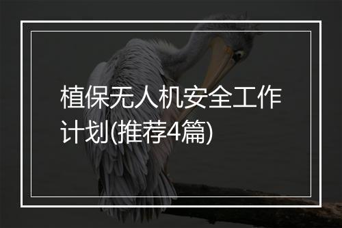 植保无人机安全工作计划(推荐4篇)