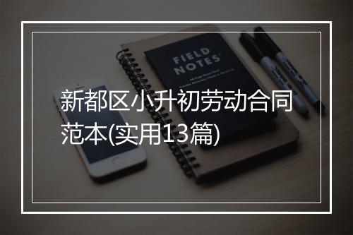 新都区小升初劳动合同范本(实用13篇)