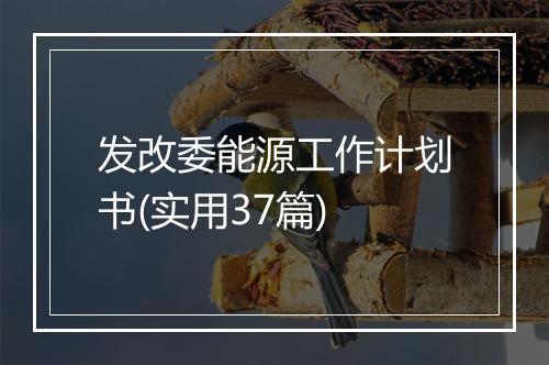 发改委能源工作计划书(实用37篇)