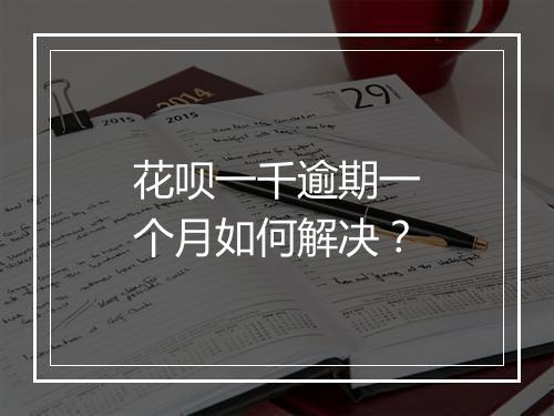 花呗一千逾期一个月如何解决？
