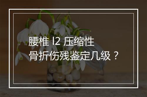 腰椎 l2 压缩性骨折伤残鉴定几级？