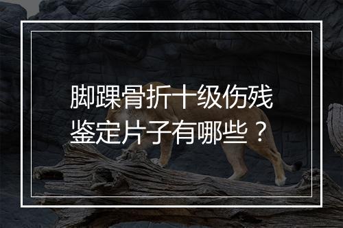 脚踝骨折十级伤残鉴定片子有哪些？