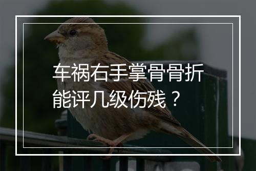车祸右手掌骨骨折能评几级伤残？
