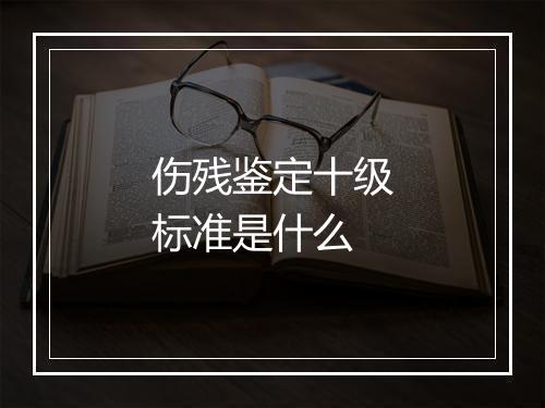伤残鉴定十级标准是什么