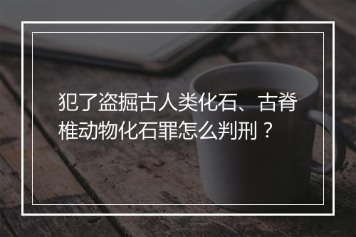 犯了盗掘古人类化石、古脊椎动物化石罪怎么判刑？