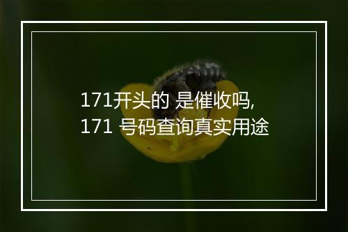 171开头的 是催收吗,171 号码查询真实用途