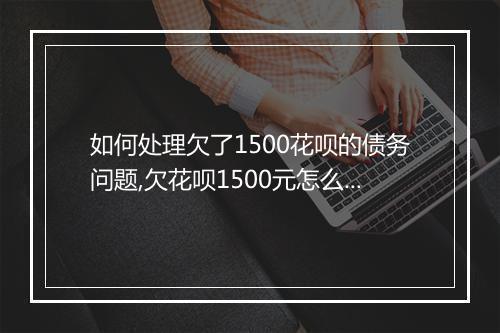 如何处理欠了1500花呗的债务问题,欠花呗1500元怎么办