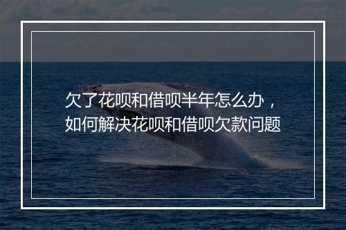 欠了花呗和借呗半年怎么办，如何解决花呗和借呗欠款问题