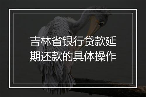 吉林省银行贷款延期还款的具体操作