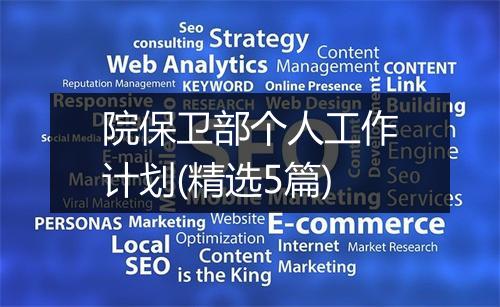 院保卫部个人工作计划(精选5篇)