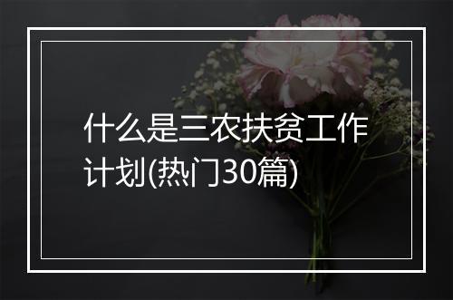 什么是三农扶贫工作计划(热门30篇)
