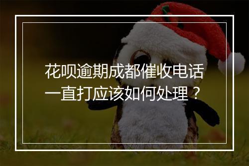 花呗逾期成都催收电话一直打应该如何处理？