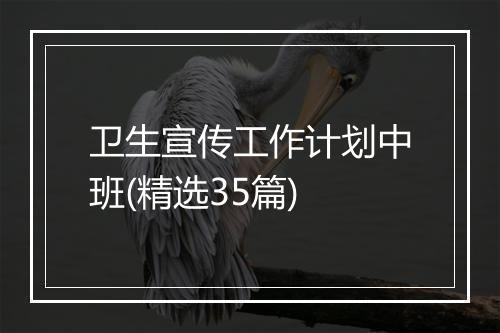卫生宣传工作计划中班(精选35篇)