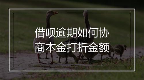 借呗逾期如何协商本金打折金额