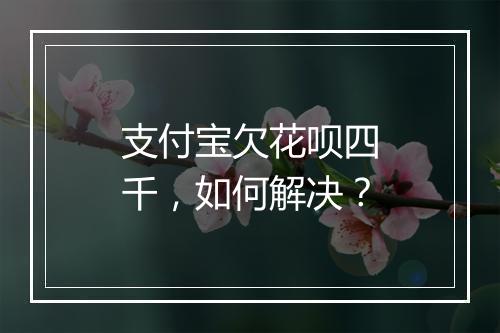 支付宝欠花呗四千，如何解决？