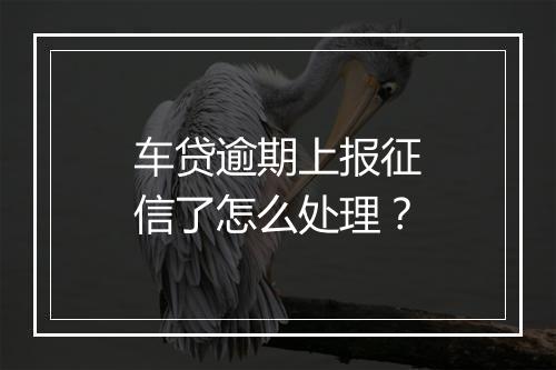 车贷逾期上报征信了怎么处理？