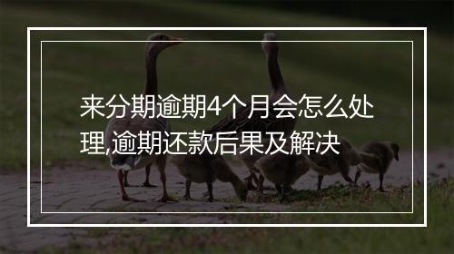来分期逾期4个月会怎么处理,逾期还款后果及解决