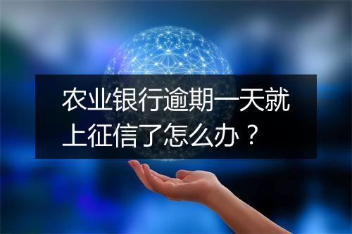 农业银行逾期一天就上征信了怎么办？