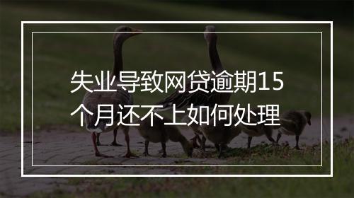 失业导致网贷逾期15个月还不上如何处理