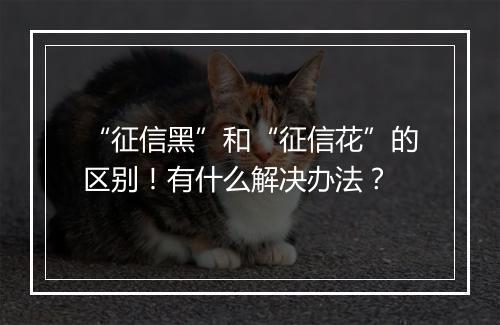 “征信黑”和“征信花”的区别！有什么解决办法？