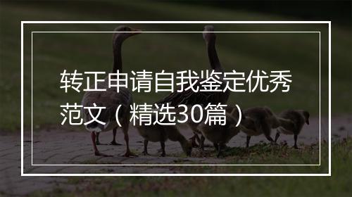 转正申请自我鉴定优秀范文（精选30篇）