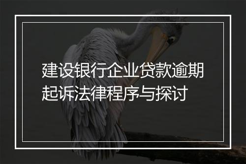 建设银行企业贷款逾期起诉法律程序与探讨