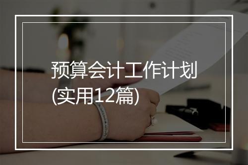 预算会计工作计划(实用12篇)
