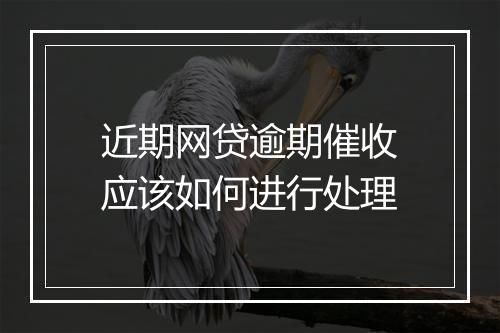 近期网贷逾期催收应该如何进行处理
